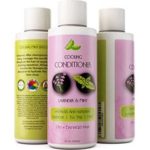 Honeydew Natural Shampoo Free Sample Honeydew Natural Shampoo Free Sample