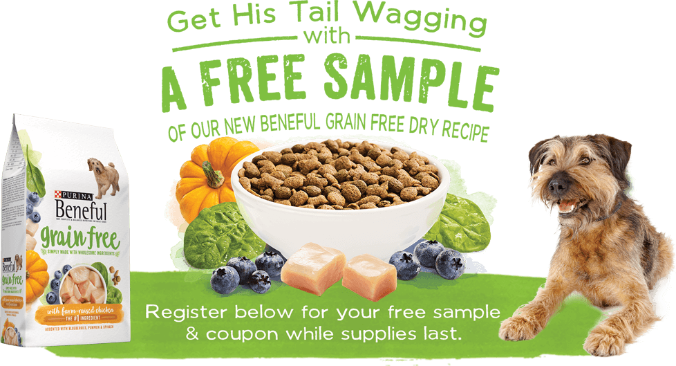 Beneful Grain Free Dog Food Sample
